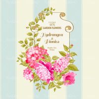 Vector floral border