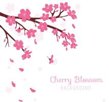 وکتور شکوفه گیلاس
