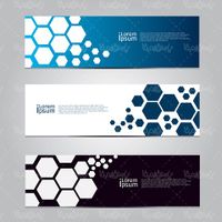 Banner Background Vector