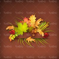Autumn leaf margin vector