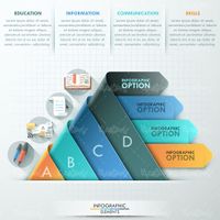 Graphic Infographic Vector