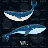 Whale vector