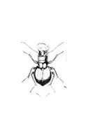 Vector Beetle