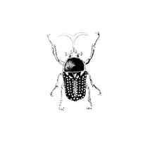 Vector Beetle