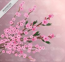 وکتور شکوفه درخت
