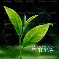 وکتور چای سبز