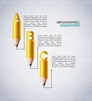 Educational infographic vector