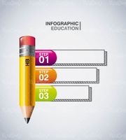 Educational infographic vector