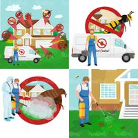 Insect spraying vector