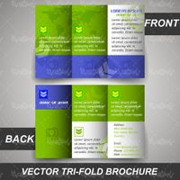 Vector graphic design brochure