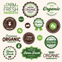 Organic label vector