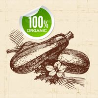 Organic Fruit Label Vector