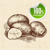Organic Fruit Label Vector