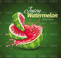 Watermelon vector