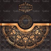 وکتور حاشیه گل و بوته