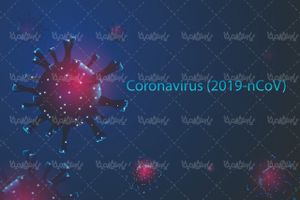 Corona virus vector