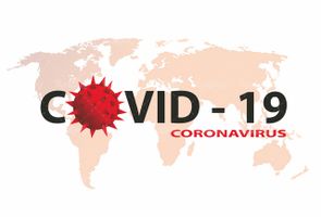 وکتور ویروس کووید 19