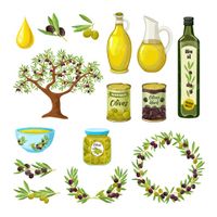 Olive oil vector