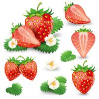 Strawberry Vector