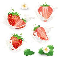Strawberry Vector