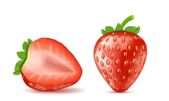 Strawberry Vector