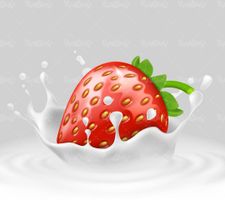 Strawberry Vector