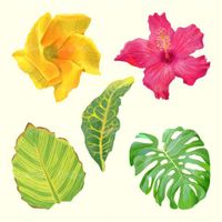 Vector leaves and flowers