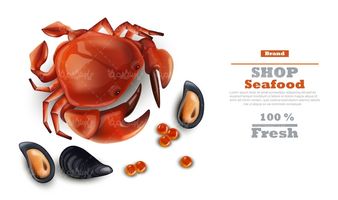 Seafood vector