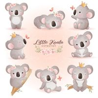 Vector koala