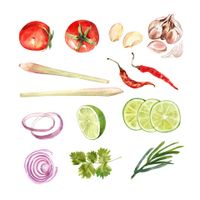 وکتور میوه و سبزیجات