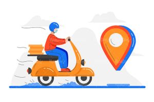 Delivery Vector