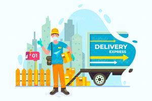 Delivery Vector