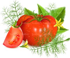 وکتور گوجه فرنگی