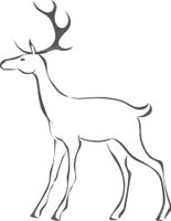 Deer Vector