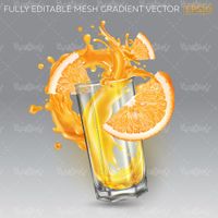 Orange juice vector
