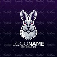 وکتور خرگوش