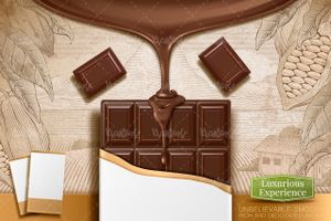 Cocoa chocolate vector