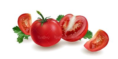 وکتور گوجه فرنگی