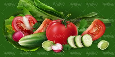 وکتور گوجه فرنگی