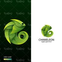 Chameleon vector