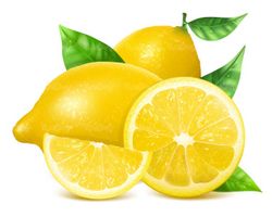 Vector lemon