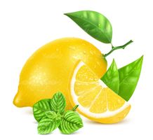 Vector lemon
