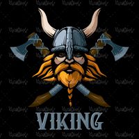 Viking vector