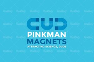 Magnet vector