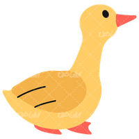 Duck vector