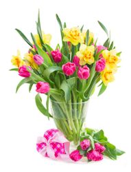 گل بنفش و زرد مناسب گل فروشی