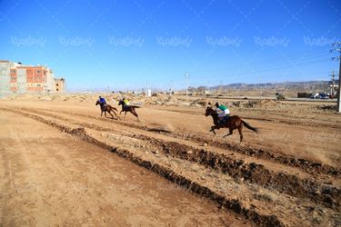 سوار کاری با اسب ترکمن
