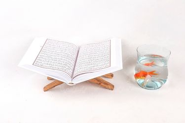 قرآن و ماهی
