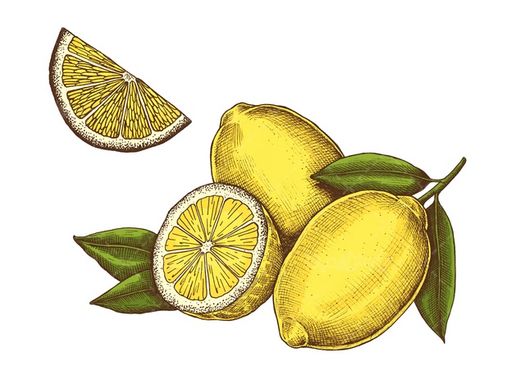 لیمو ترش