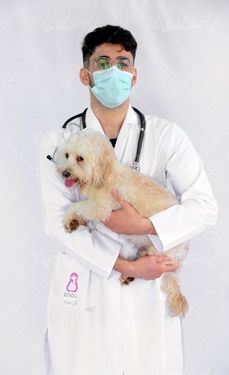 تصویر با کیفیت دامپزشک مرد و سگ